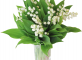 Un brin de muguet, une délicate attention La Chênaie Saint-Ciers-sur-Gironde
